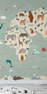 Térképes tapéták GYT024