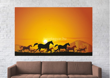 Állatos poszter TPALL020