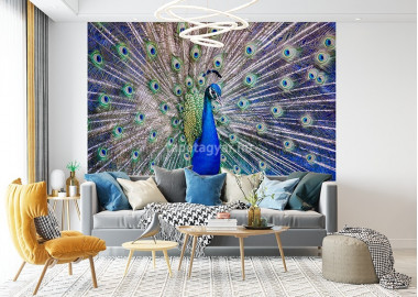 Állatos poszter TPALL028