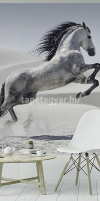 Állatos poszter TPALL030