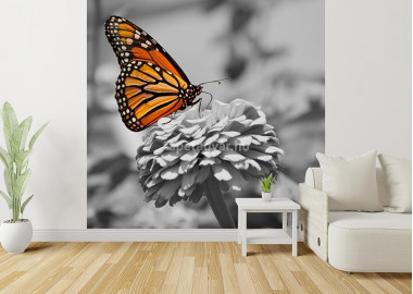 Állatos poszter TPALL035