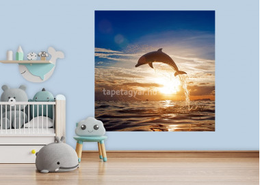 Állatos poszter TPALL039