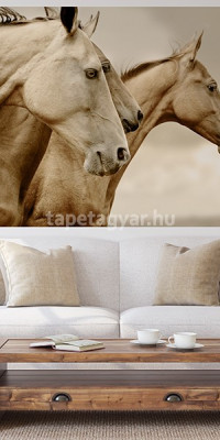 Állatos poszter TPALL044