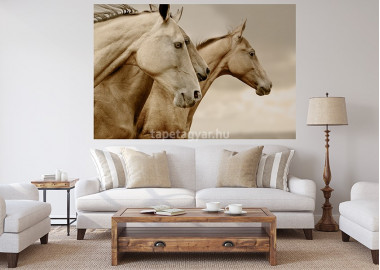 Állatos poszter TPALL044