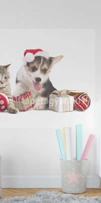 Állatos poszter TPALL047