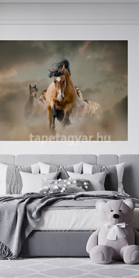 Állatos poszter TPALL050