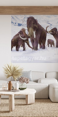 Állatos poszter TPALL052