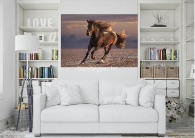 Állatos poszter TPALL055