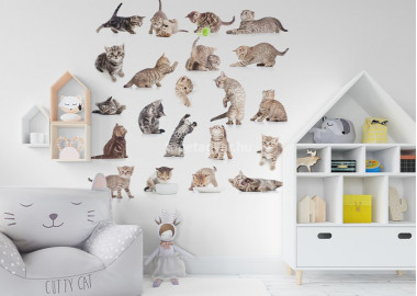 Állatos poszter TPALL056