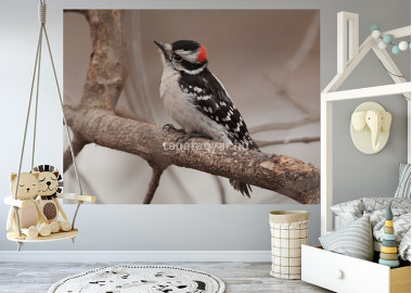 Állatos poszter TPALL060