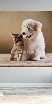 Állatos poszter TPALL062