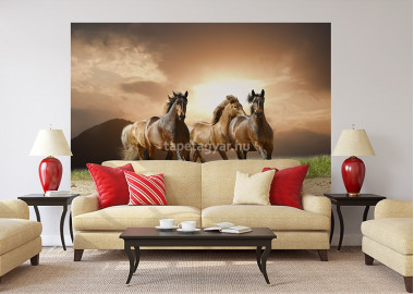 Állatos poszter TPALL067