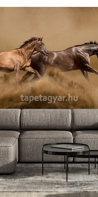 Állatos poszter TPALL068