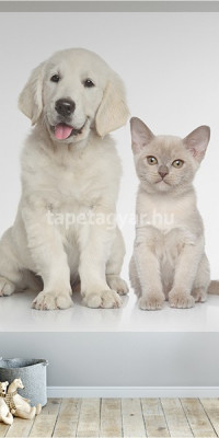 Állatos poszter TPALL071