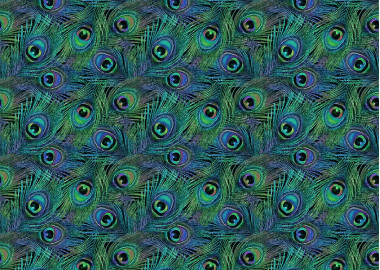 PÁVA EYE-1975.14.02