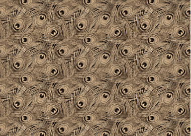 PÁVA EYE-1975.14.03