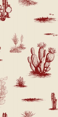 CACTUS 1975-29-03