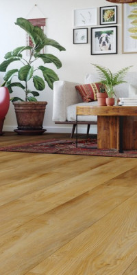 AMARON - fa mintázat Sierra Oak