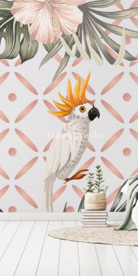 Design tapéta kakadu