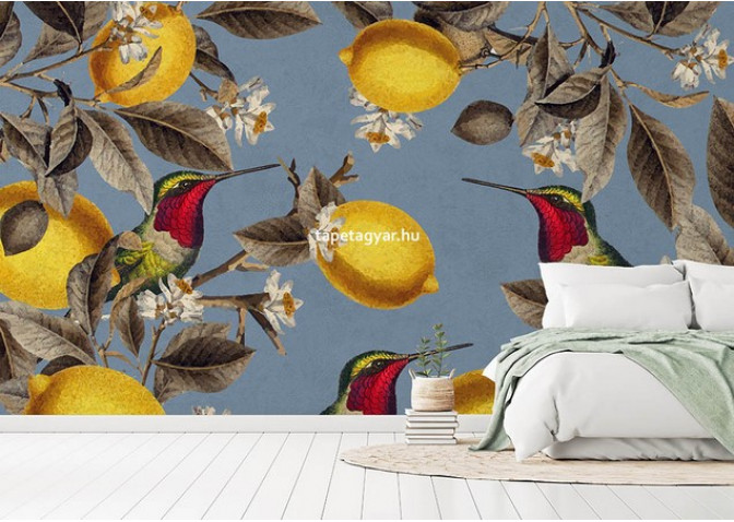 Design tapéta Lemon colibri