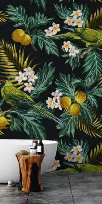 Design tapéta Papagájok
