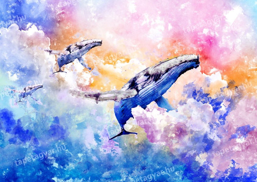 Gyerektapéta -Whale watercolor01