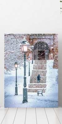 Budapest 21-vászonkép