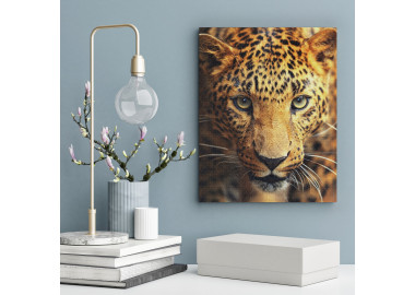 TPALL016 - vászonkép