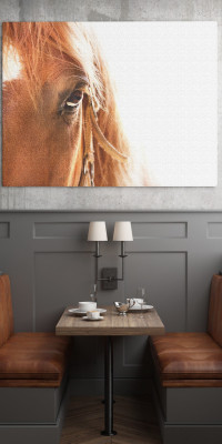 TPALL021 - vászonkép