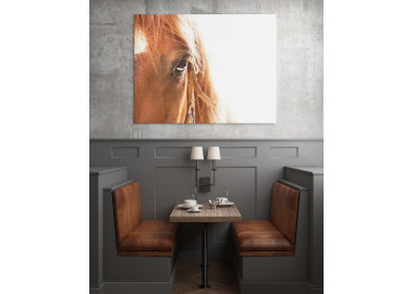 TPALL021 - vászonkép