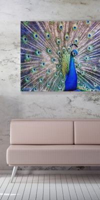 TPALL028 - vászonkép