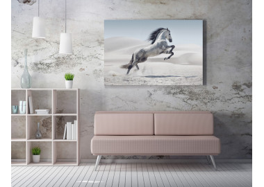 TPALL030 - vászonkép