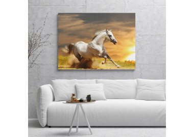 TPALL034 - vászonkép