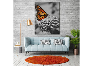 TPALL035 - vászonkép