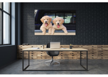 TPALL049 - vászonkép