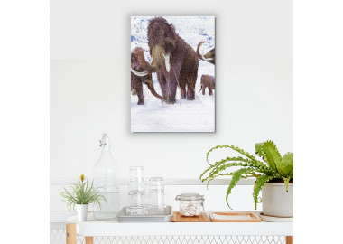 TPALL052 - vászonkép