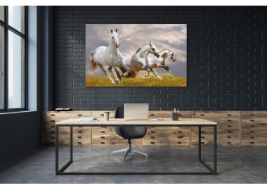 TPALL054 - vászonkép