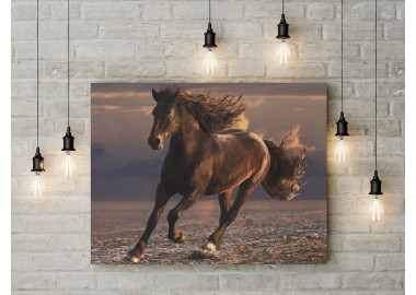 TPALL055 - vászonkép