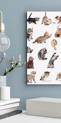 TPALL056 - vászonkép