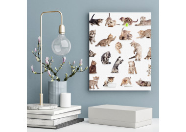 TPALL056 - vászonkép