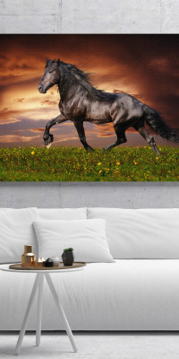 TPALL058 - vászonkép