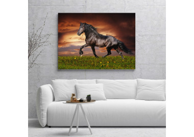 TPALL058 - vászonkép