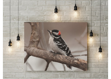 TPALL060 - vászonkép