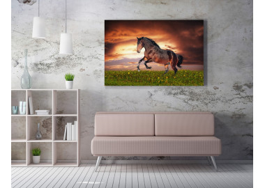 TPALL063 - vászonkép