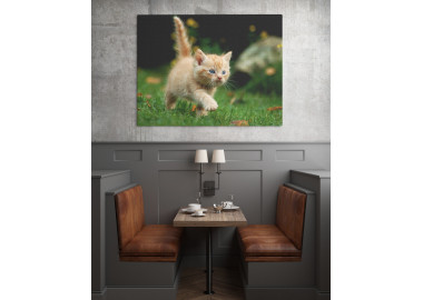 TPALL064 - vászonkép