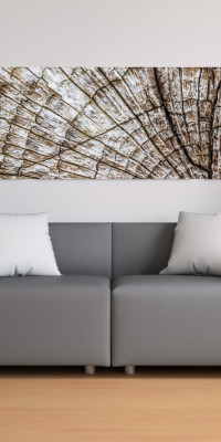 TPF087 - vászonkép