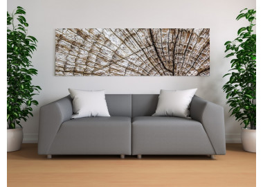 TPF087 - vászonkép