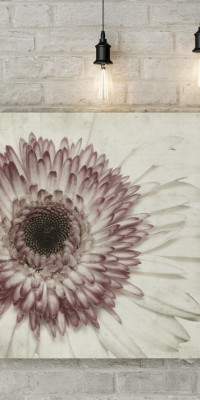 TPF149 - vászonkép