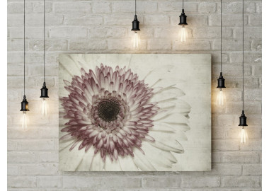 TPF149 - vászonkép