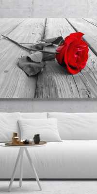 TPF159 - vászonkép